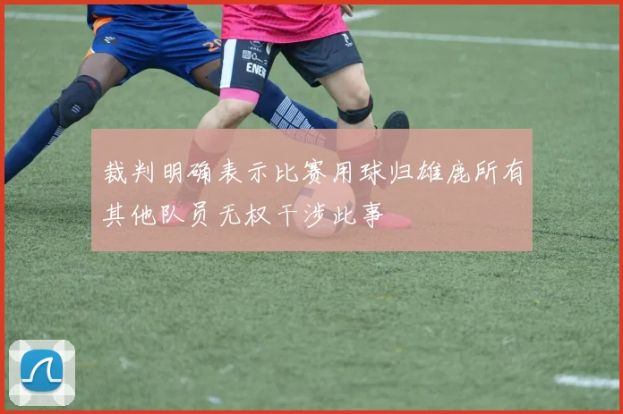 裁判明确表示比赛用球归雄鹿所有其他队员无权干涉此事