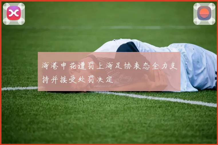 海港申花遭罚上海足协表态全力支持并接受处罚决定