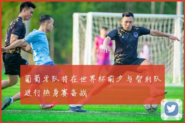 葡萄牙队将在世界杯前夕与智利队进行热身赛备战