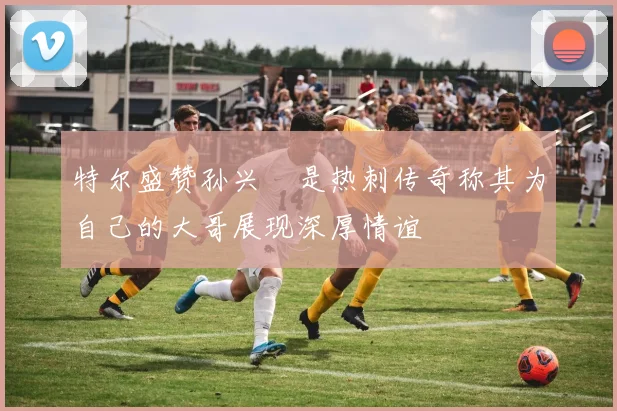 特尔盛赞孙兴慜是热刺传奇称其为自己的大哥展现深厚情谊
