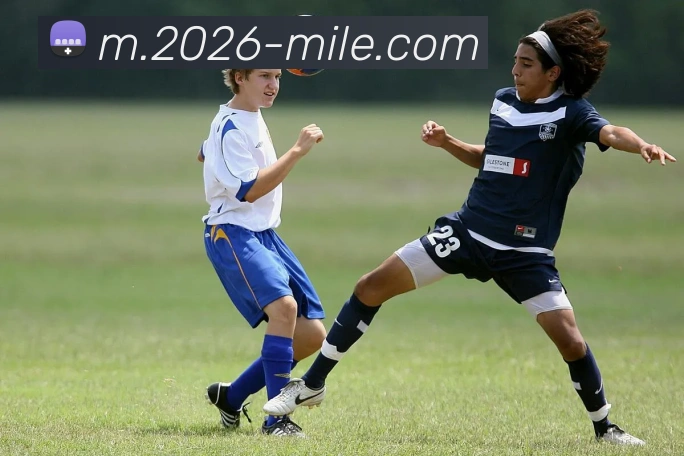 米乐体育平台生态图