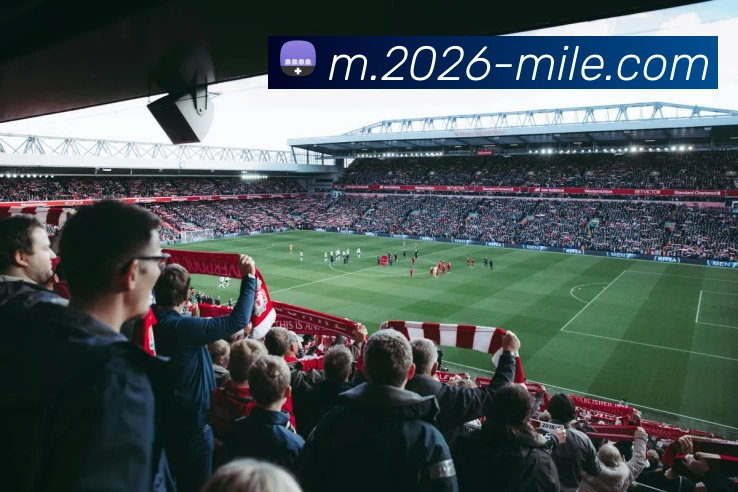 米乐体育全站App